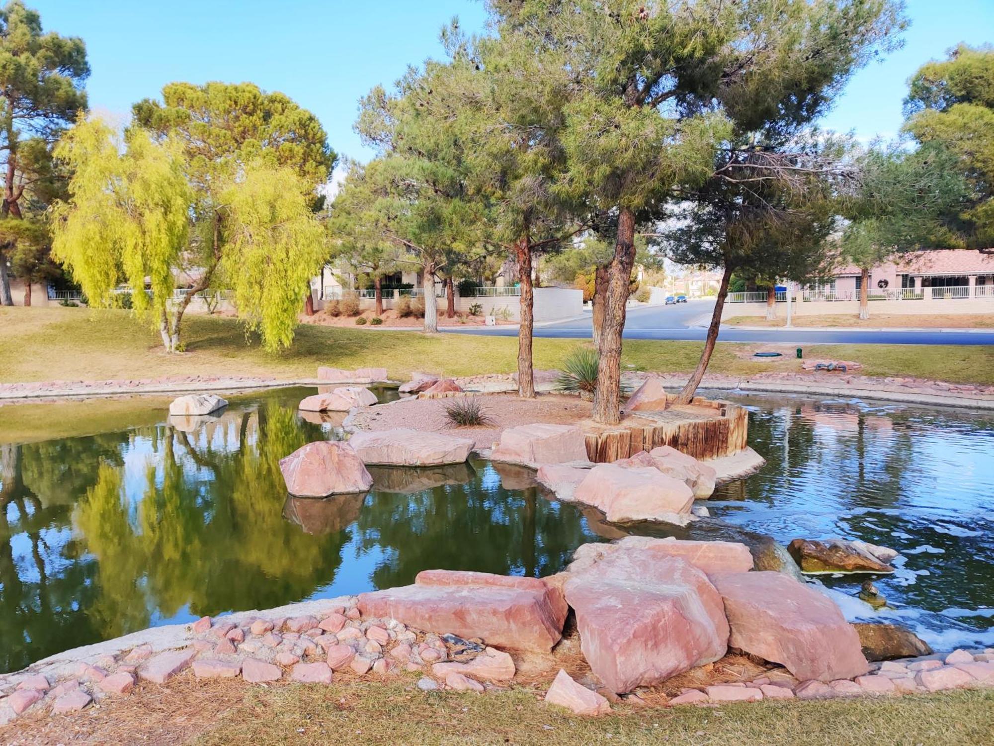 Nice Private Room In A House Close To Red Rock & Las Vegas Strip ラスベガス エクステリア 写真